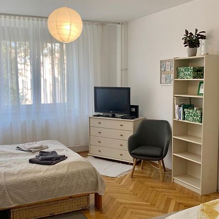 セゲドMermaid House Apartmanアパートメント エクステリア 写真